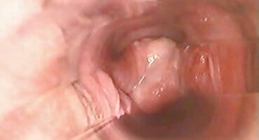 Trajo toallas a la posada y la porno xxx cerdas tuvo que follar en la cama