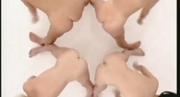 Empujó a su xxx canal porno novia al dormitorio para el hombre y les ofreció aparearse